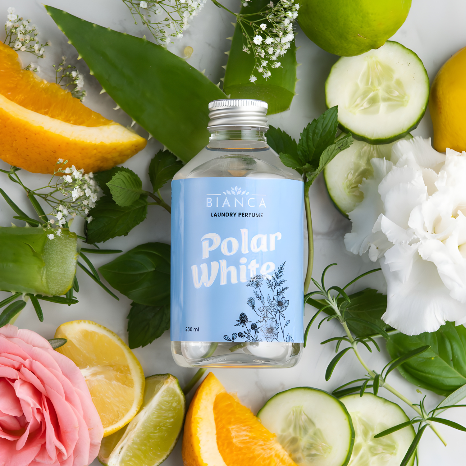 Polar White laundry perfume bottle styled with citrus slices, cucumber, aloe, mint, and delicate white flowers.